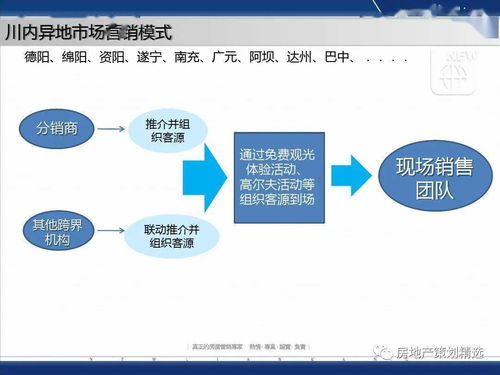 成都蓝光地产观岭国际营销方案报告