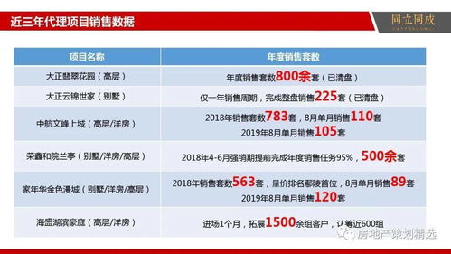 「悦见未来」——【雲山国际】项目整合营销策划提案